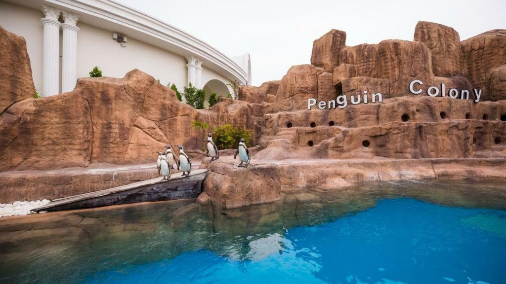 Land Of Legends Package All Inclusive